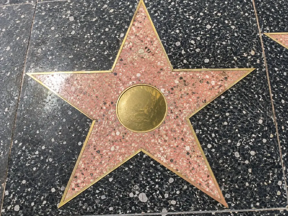 One pink terrazzo star with a brass rim set in charcoal paving